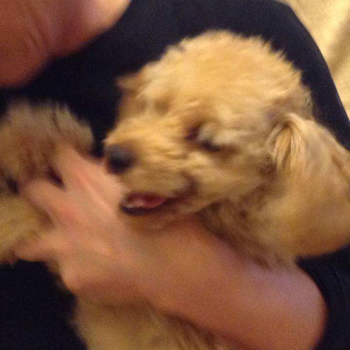 0420ced5 4a92 4751 a3f5 e7615592840a