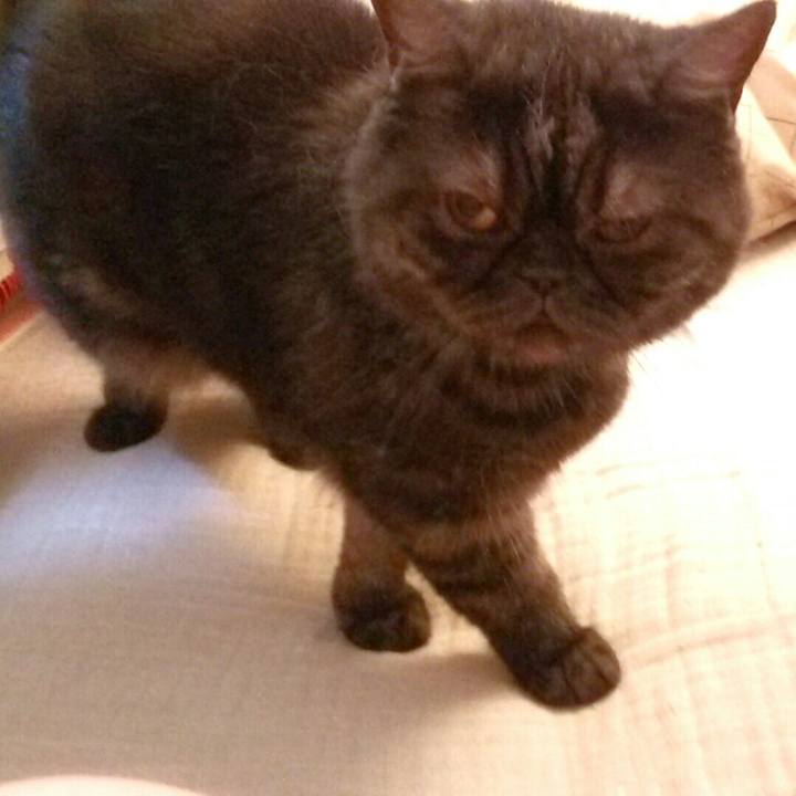 04210e6a 8270 410c 890b 3c9f588fd7a4