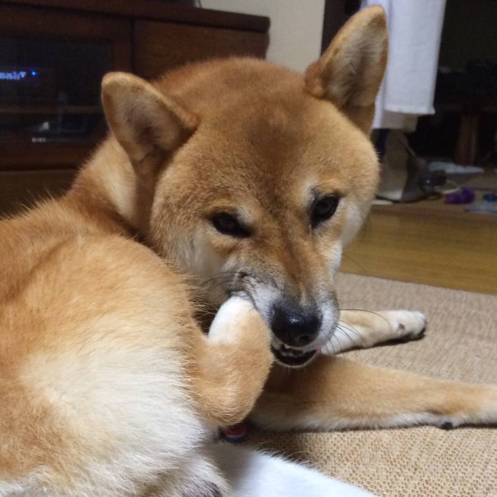 04211a9b 5c3a 4eeb a89e 96204c4d5bff