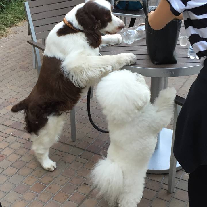 04214c87 1184 45a9 bf72 1240e72a68a5