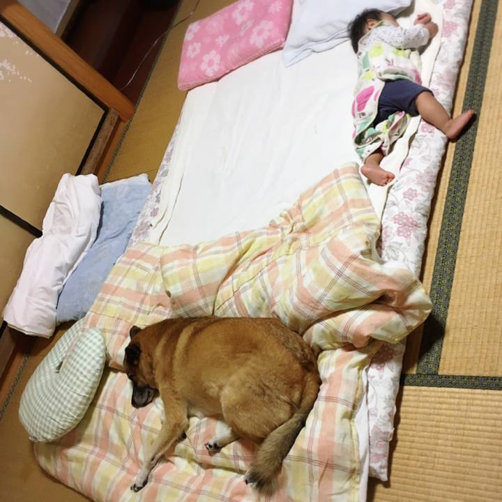 042235fd e7a8 478d 8ec1 f6267f0bf44a