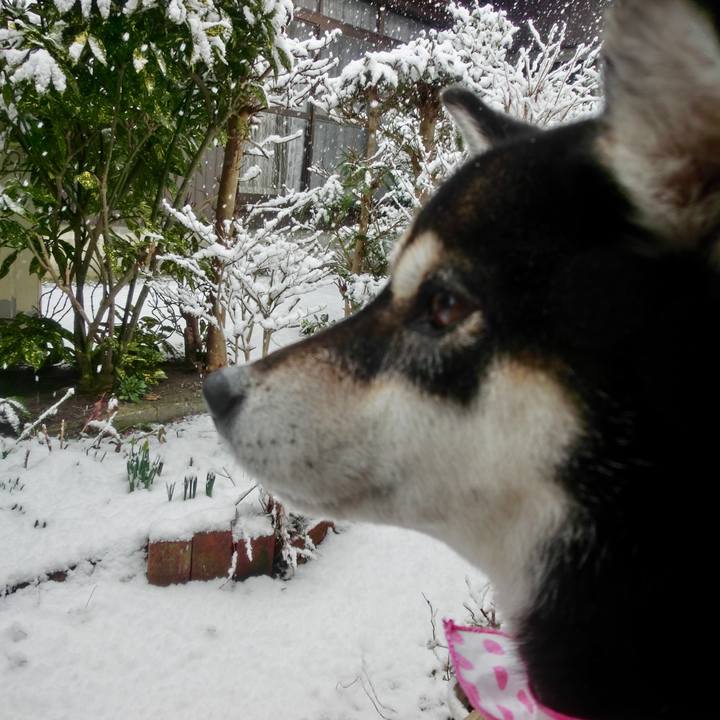 042263c7 53b5 49a7 88d9 d349058d880b