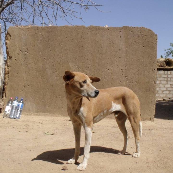 0422a1e4 d413 4a09 ab8c a7ba941d9a30