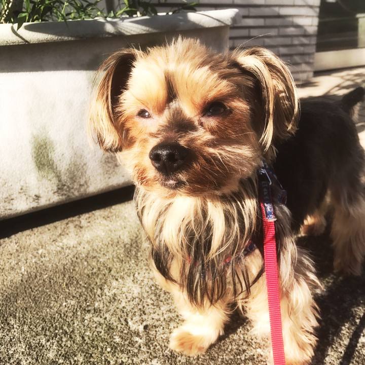 0423a560 8b7b 4ea8 9259 07bf9589e180