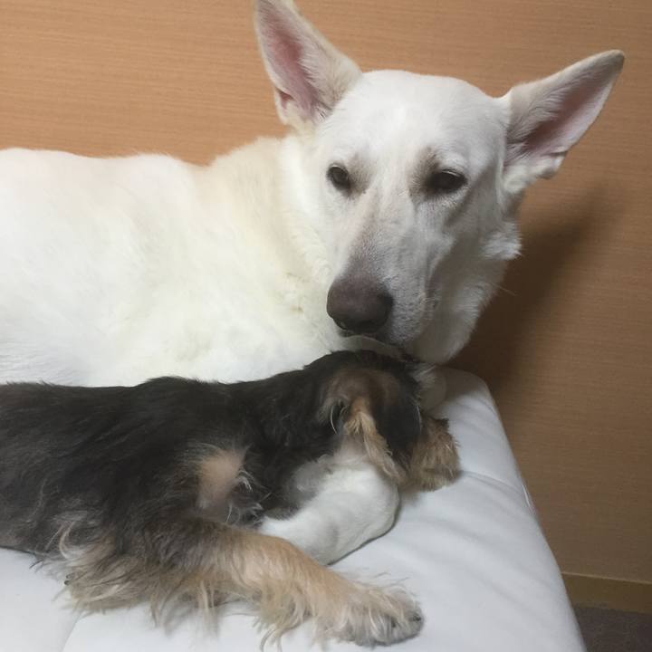 0423b2fc e87d 45e4 aef8 cb83126e0aa6