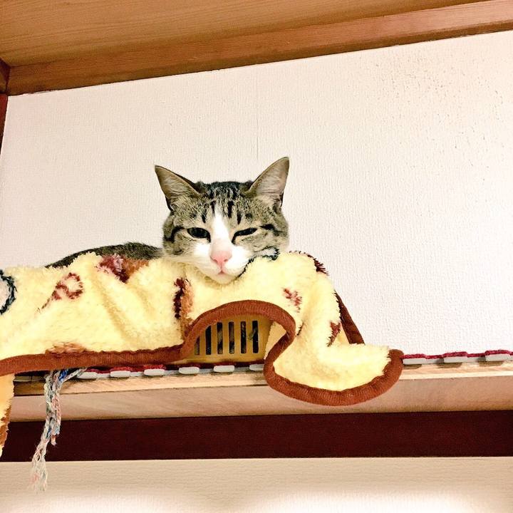 04253b0c 1cf5 486e a49e 362dcb0a6b53