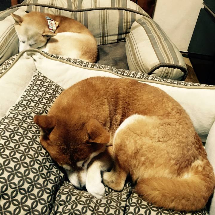 04255916 3387 42c1 96a2 50c8554008d4