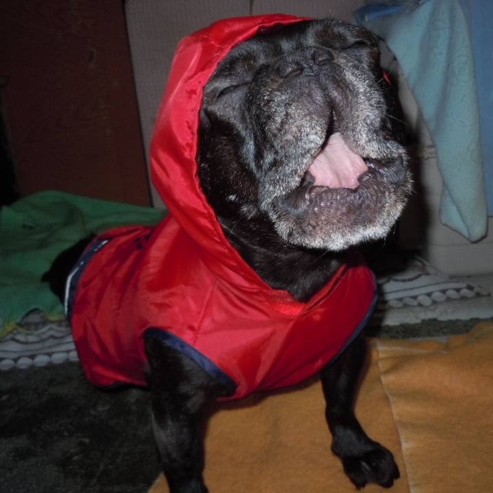 0425ad0a a734 4e29 8b4e 39d565debd2b