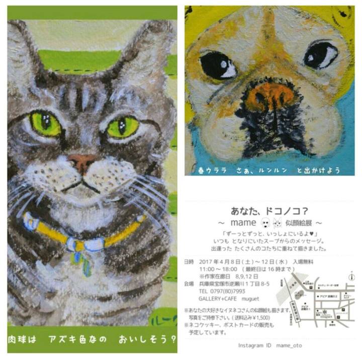 0425c376 cc80 439f 8a40 15b905618b74