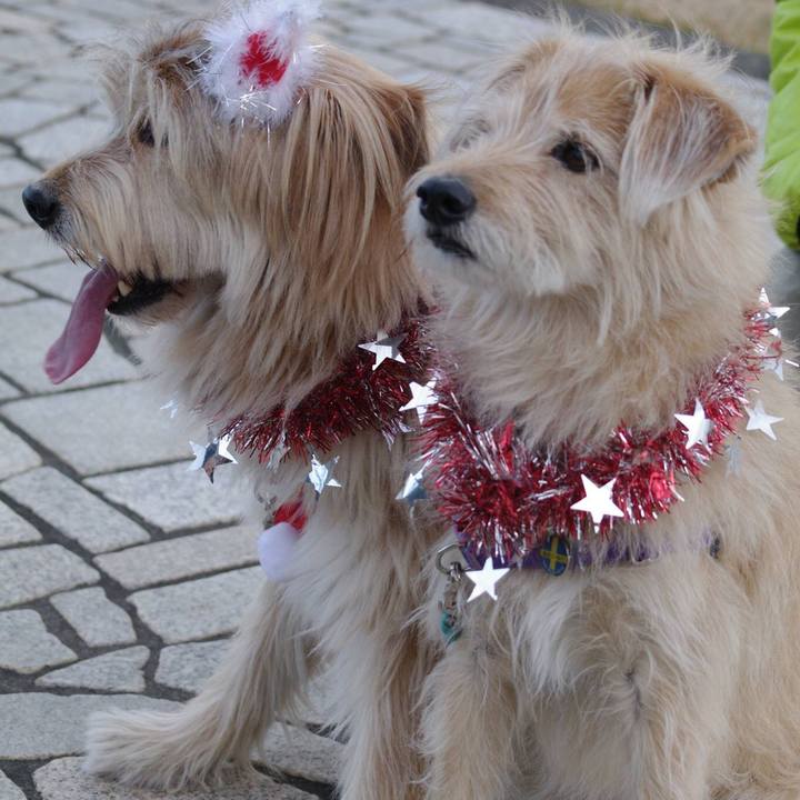 0425cecb 3712 4c53 bb44 64c95bb03e43