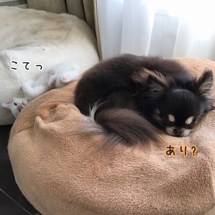 0426088a 971b 4fd4 b187 118baae52de1