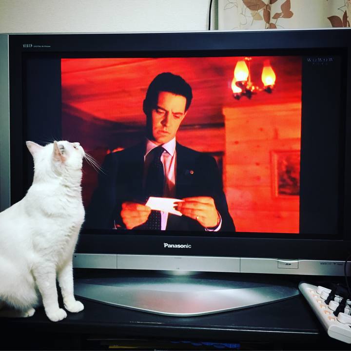 042676be a6ab 4f3f 9dc2 9b94ccd98b27