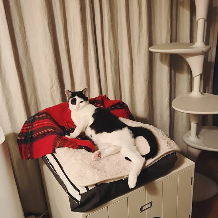 042724b9 53c3 449c ba5f 9aac63b7a4e6