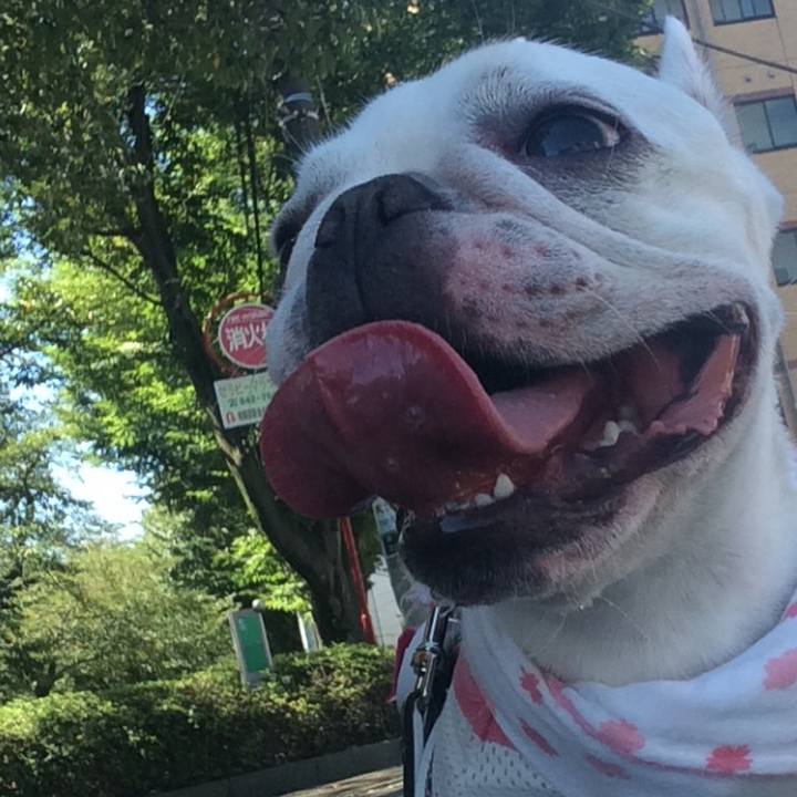 0427e25f dcdd 42b7 b00b 4e4adc6b71e5