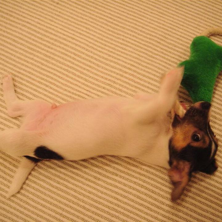 04287686 72c9 4a49 985a fab512393c90