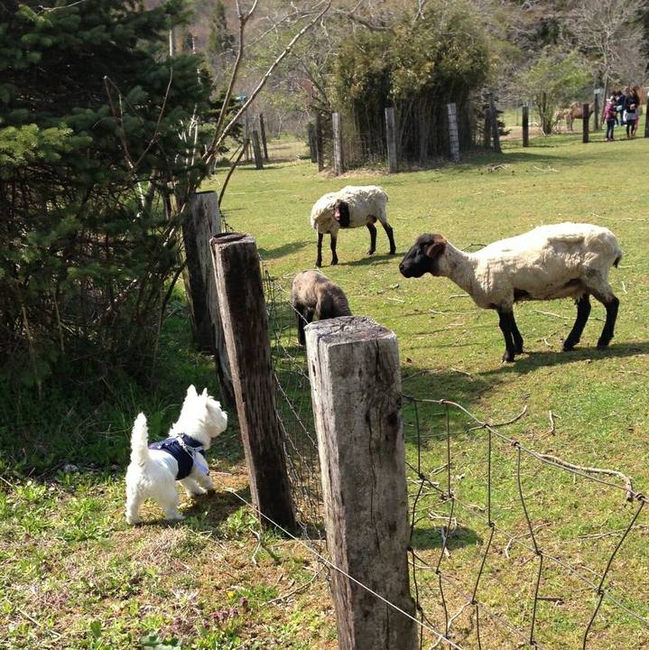 04292031 a003 4df8 ad52 1a4e86c59600