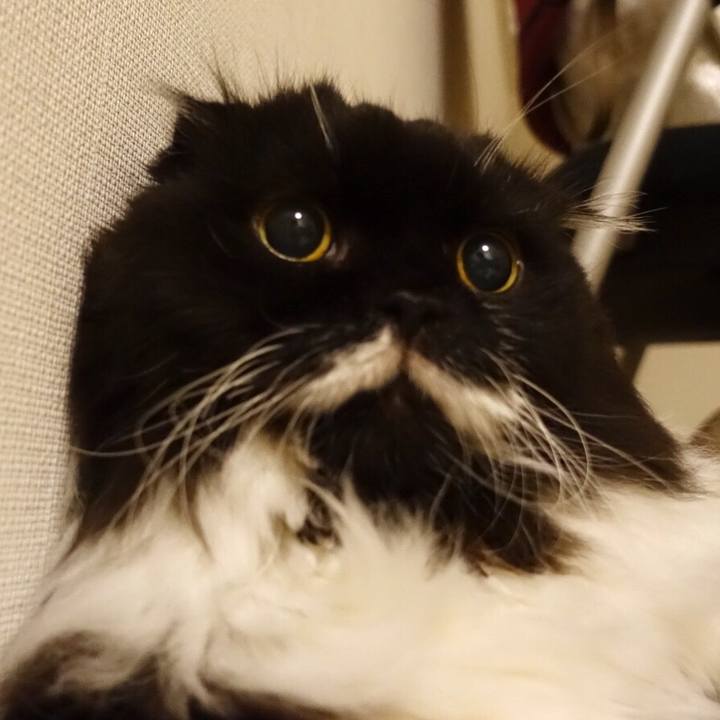 04293b32 c58f 4caf ae9c 721b232bcf90