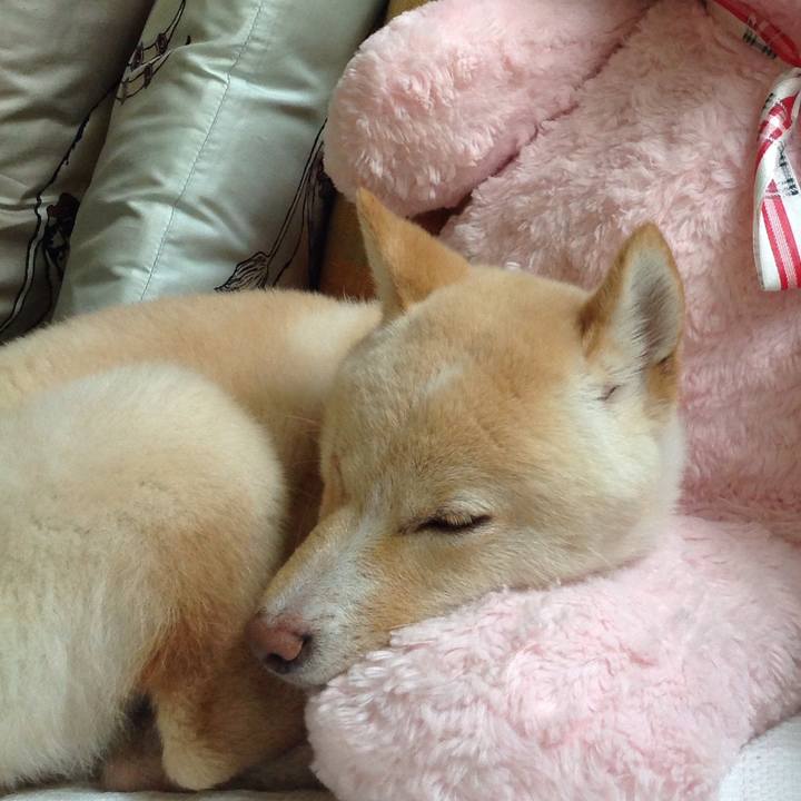 04298387 92a4 4426 a7e3 d730821ec2b6