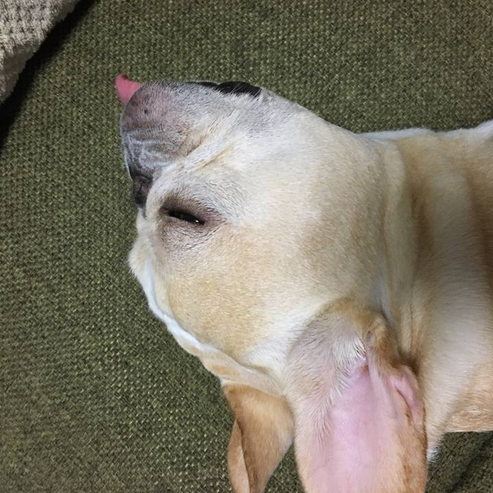 042a3b2d d76a 4f2b b688 6ed02b69a215