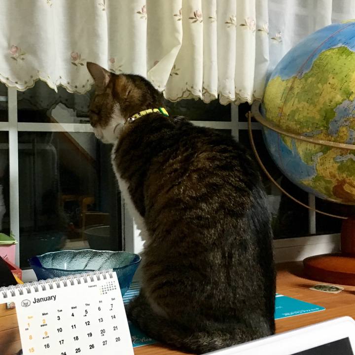 042b1c1c 04cd 49ad 9049 2f107a339bfd