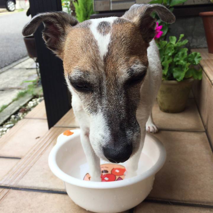 042b77ac af7e 45a6 844c 8592aa873b6c