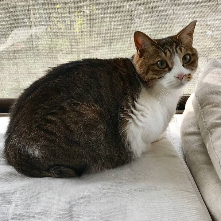 042bb50d 26f3 423c 8385 9fd26a2c8055