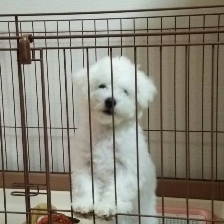 042bb6ab 52f5 42bf a149 aea7780cbbb4