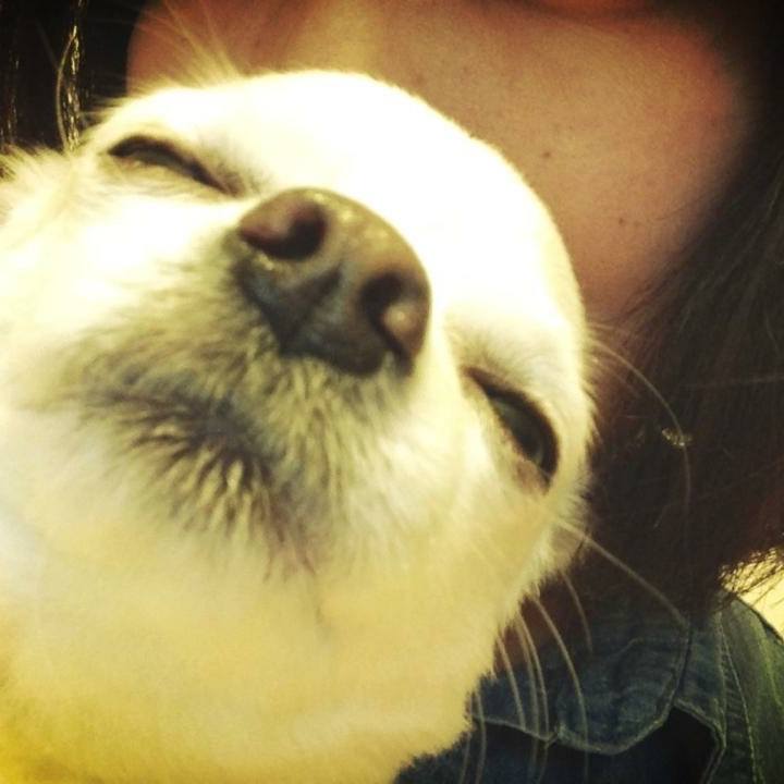 042c6af6 0c47 4ef4 b745 2fb66689745d