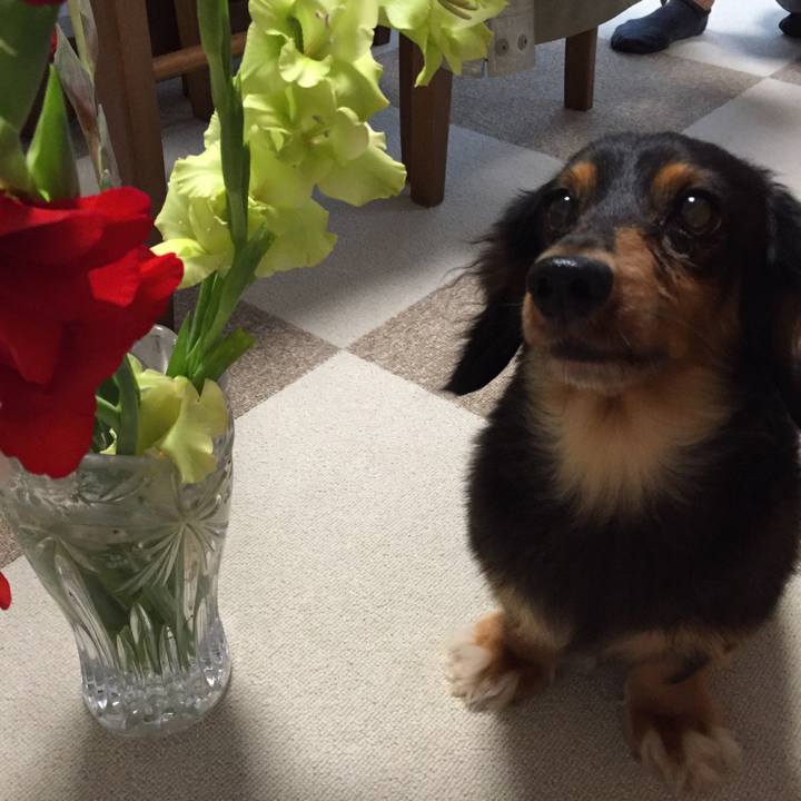 042d4bd0 4fb5 4862 855b 0cc9fccc8e74