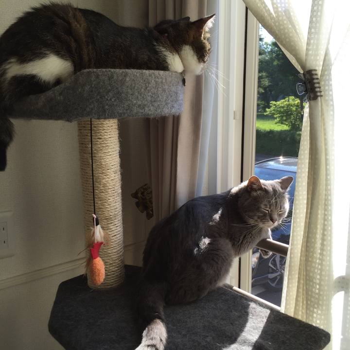 042d99cc 68a7 47a3 aec9 a154ad87d49c