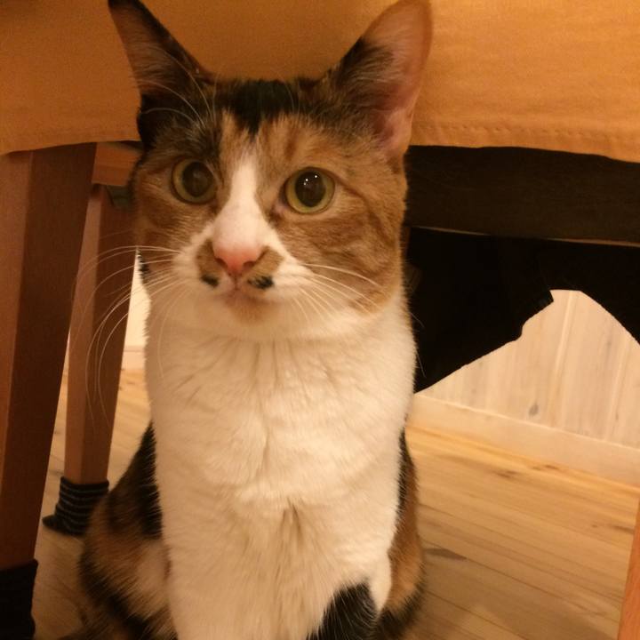 042db784 08c2 4c55 a454 4819a773d998