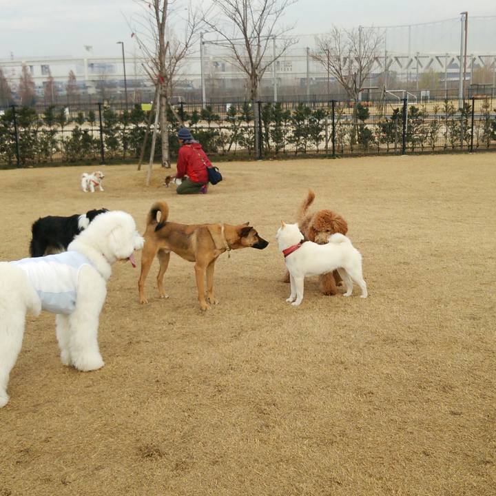 042e3f93 7c64 4f5d bfeb 81ab05605cb7