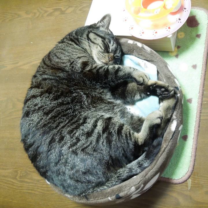 042f6c99 ac2a 4fdf bef1 403d0cd12a9b