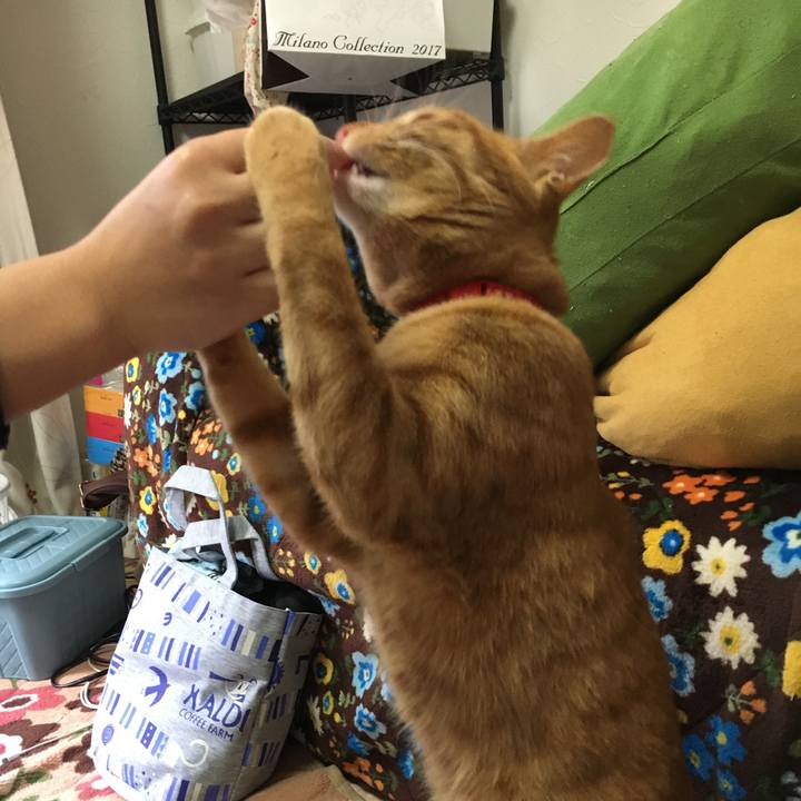 042f9605 274c 4a6c 9dd9 6bc15b322817