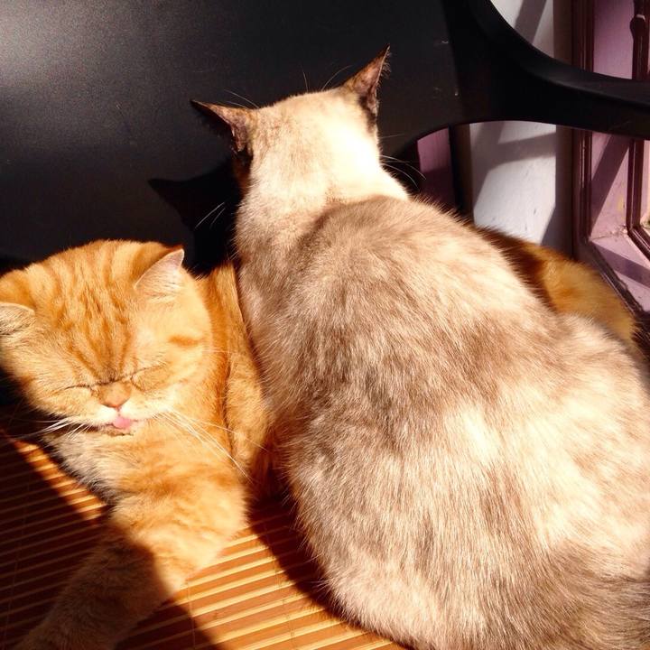 04301c3f a3c9 46af 9a5c 44c34716563f