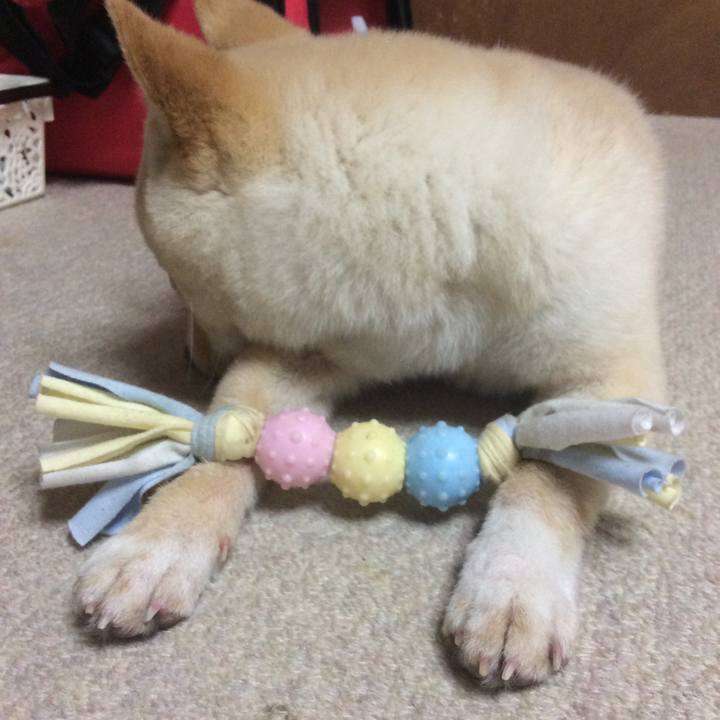 04304c59 3ae2 40f3 aa11 2edb8c1c348f