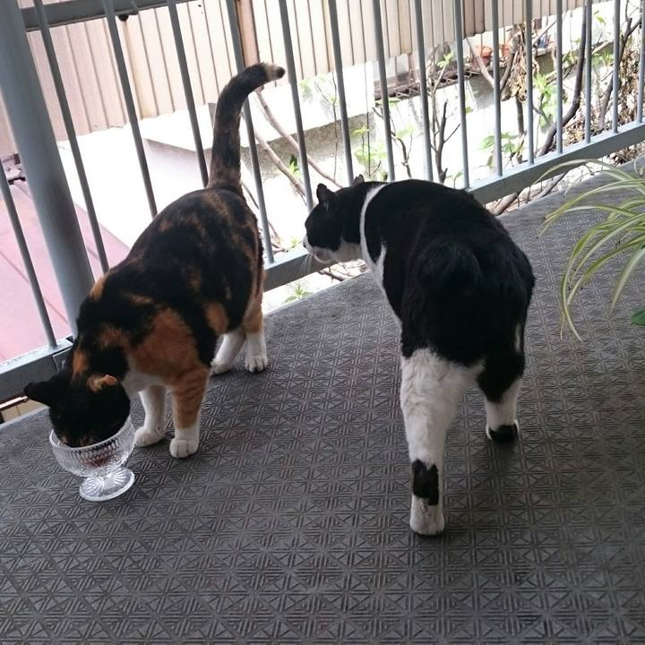 04307656 50f8 49ca 9899 632d5f2fed58