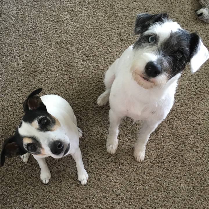 0430b874 bf23 412f 949c e135ee7a18fc