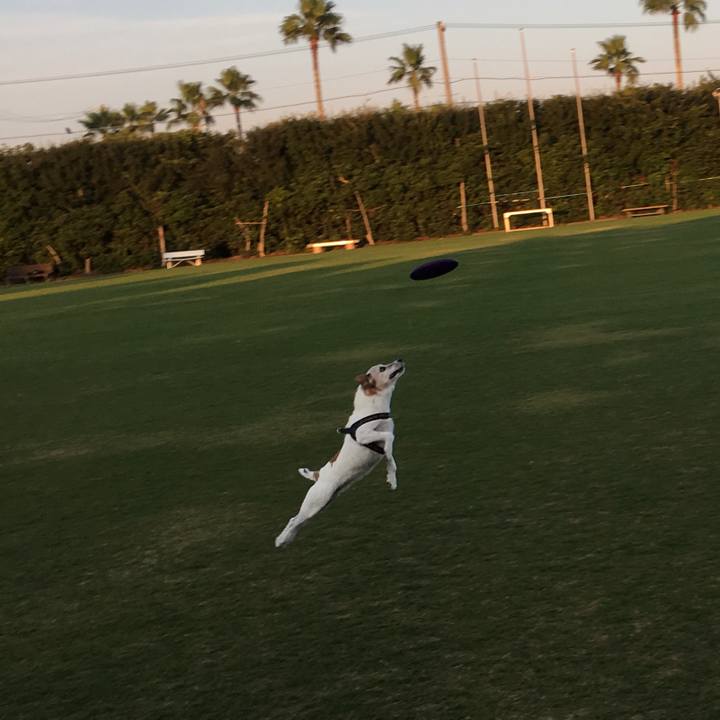 04310b56 f738 4f74 94b4 10920b432081