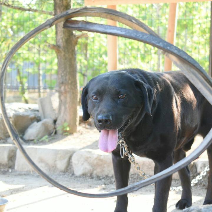 043142d5 f47a 4308 9c46 6c7ae180875f