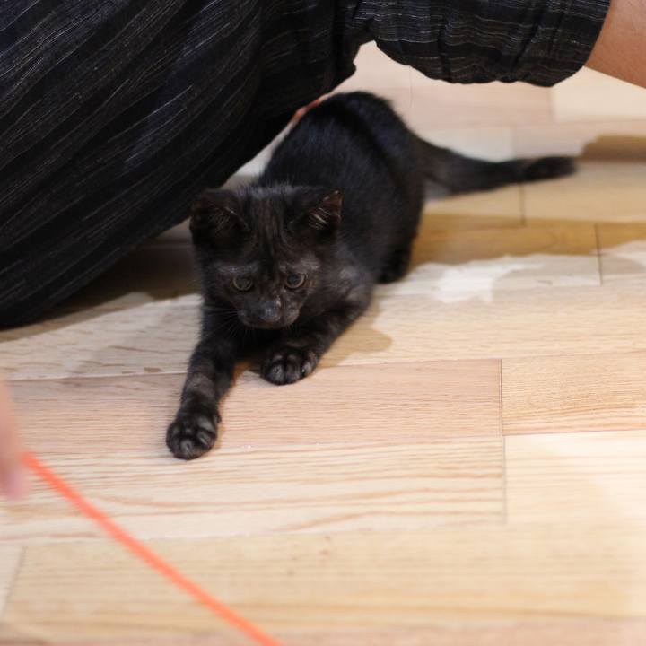 0431c58b a307 4212 9b88 2b12ab0762a2