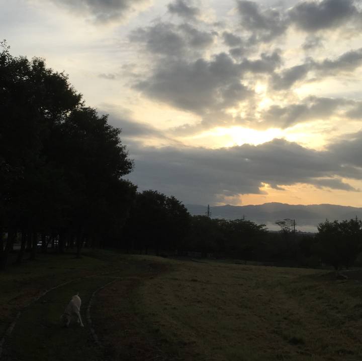 0431ef99 4194 46f6 b4fc d283bba183c9