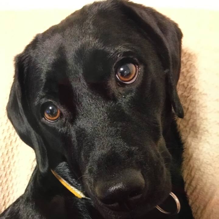 0431fe8b e1e5 49aa ba23 ddbd93948970