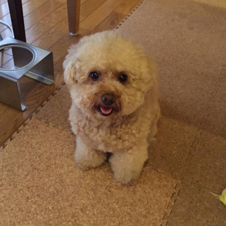 043226e5 89a5 44df 8653 c22acf3221e2