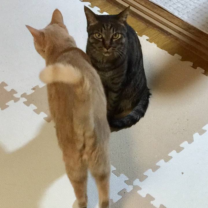 04329860 9c82 42c0 a889 e7a34ad5e1e6