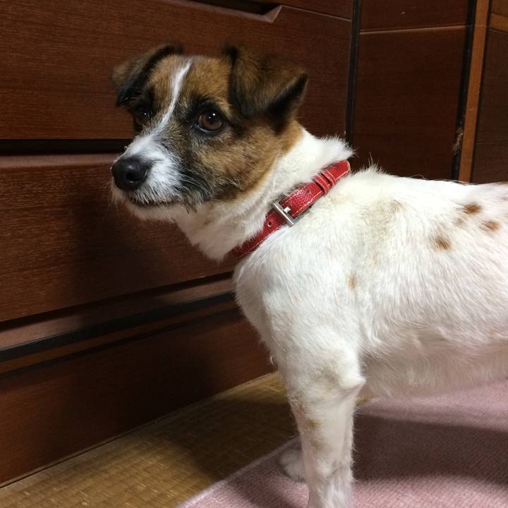 0432be33 1d30 4a6c 82d7 12cc748fefbb