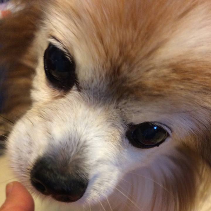 0432dba5 d03c 439b a0cb 87c4f47cbd32