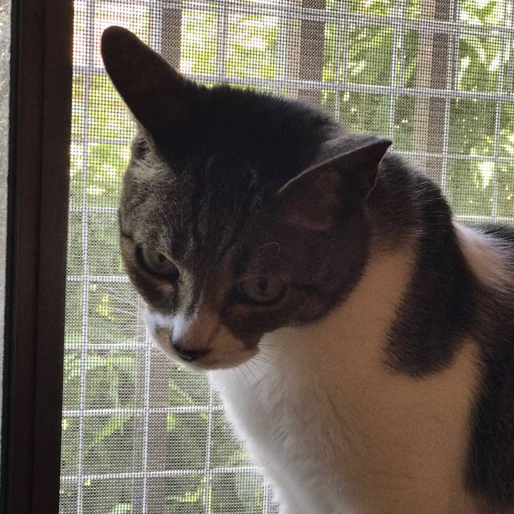 043325fd 49ec 4e2c a9d3 c77fa74aefc3