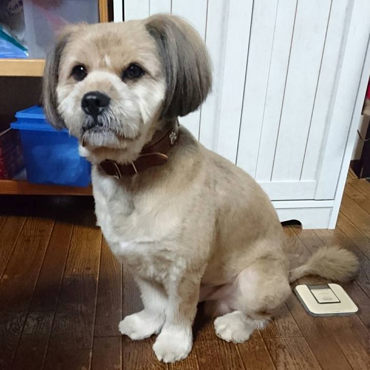 04334cb2 5610 4d3a 8ad5 4c2f751320e1