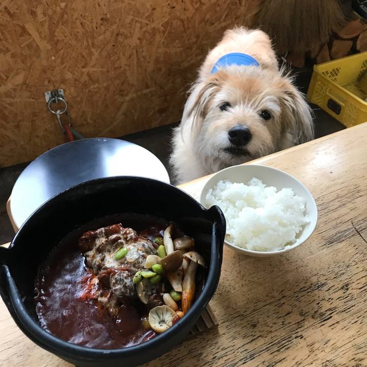 04335347 e6d1 4cc9 a204 419cf3365787